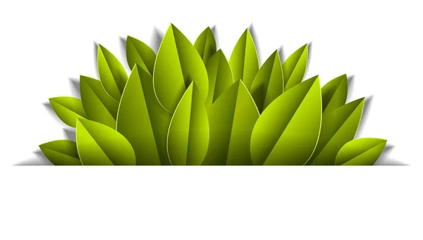 Achtergrond Met Groene Verse Bladeren Papier Knippen Stijl Lijn Ontwerpelement — Stockvector