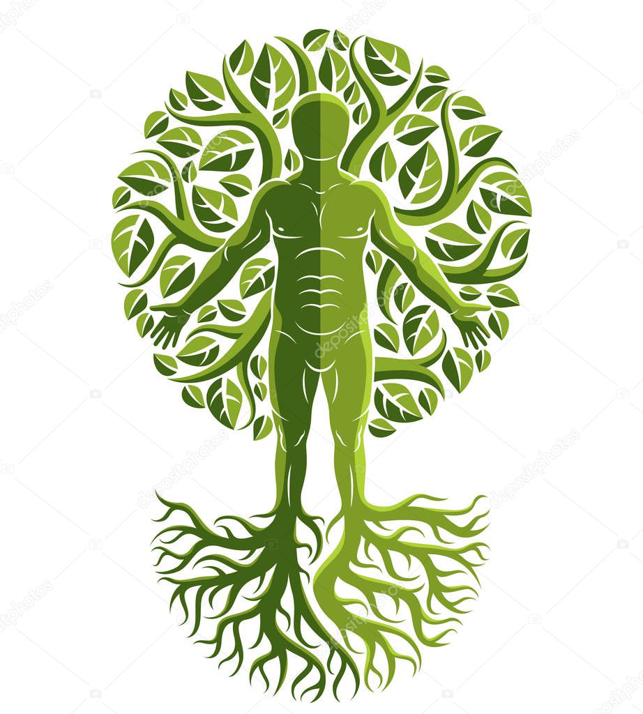 Vector illustration of human being created as continuation of tree with strong roots and composed using natural green tree corona with leaves. Greenman, pagan god metaphor.