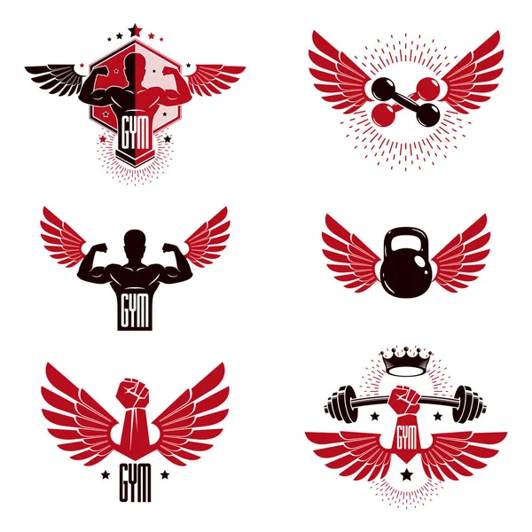Fitness Pesado Ginásio Esporte Clube Logotipo Modelos Emblemas Vetoriais Estilo —  Vetores de Stock