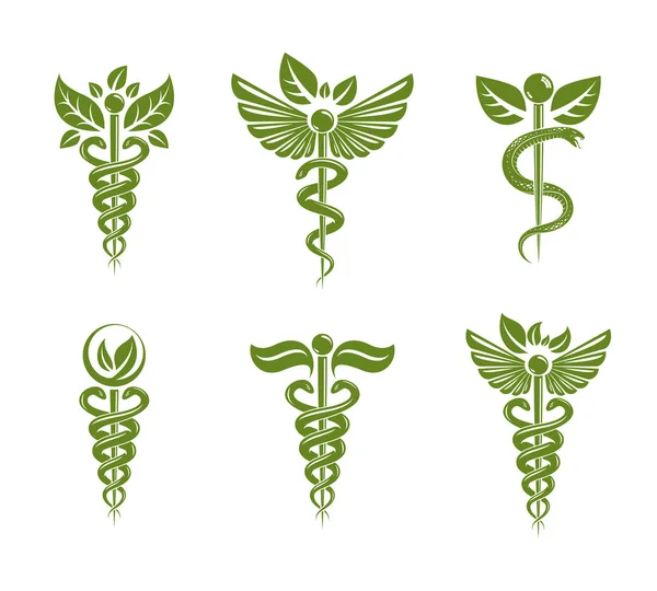 Collection Caduceus Illustrations Composed Poisonous Snakes Bird Wings Healthcare Conceptual — Stock Vector