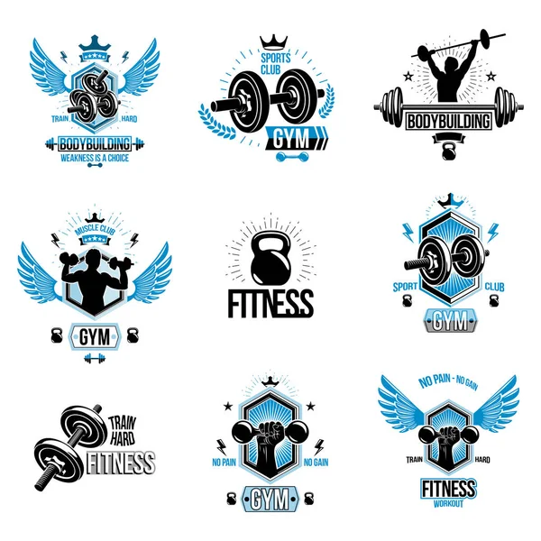 Ensemble Emblèmes Vectoriels Cross Fit Fitness Affiches Motivation Créées Avec — Image vectorielle