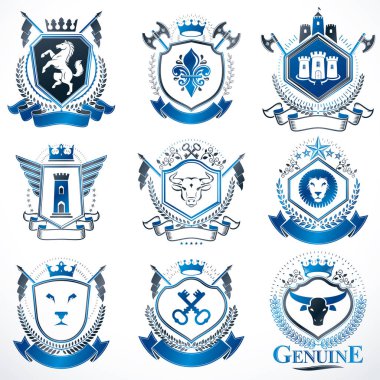 Vektör klas hanedan arması. Blazons topluluğu vintage tasarımında stilize ve oluşturulan grafik öğeleri, Kraliyet kron ve bayrak, yıldız, kuleleri, Tophane, dini haçlar.
