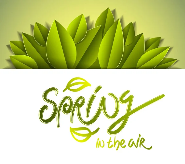 Frühling Saisonale Grußkarte Mit Frischen Grünen Blättern — Stockvektor