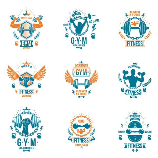 Conjunto Emblemas Temáticos Del Gimnasio Pancartas Motivacionales — Vector de stock