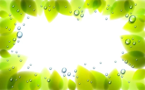 Hojas Verdes Frescas Gotas Lluvia Agua Condensado Realista Transparente — Vector de stock