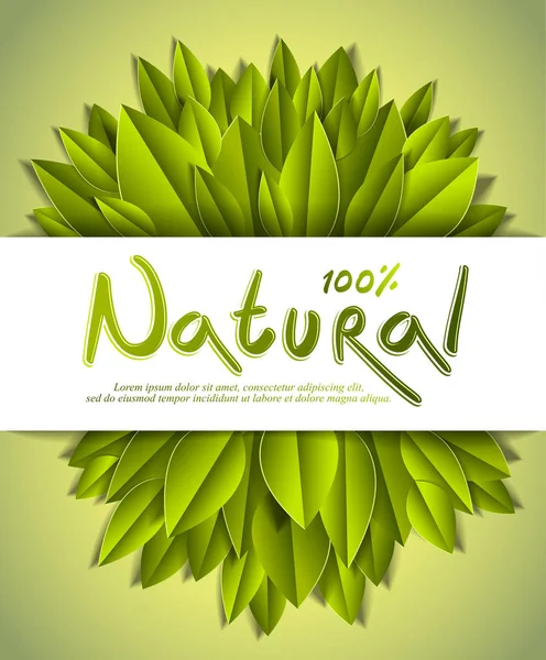 新鮮な緑の葉を持つ100 天然カード 広告バナー 紙カット現実的なスタイルで作られたベクトルデザイン — ストックベクタ
