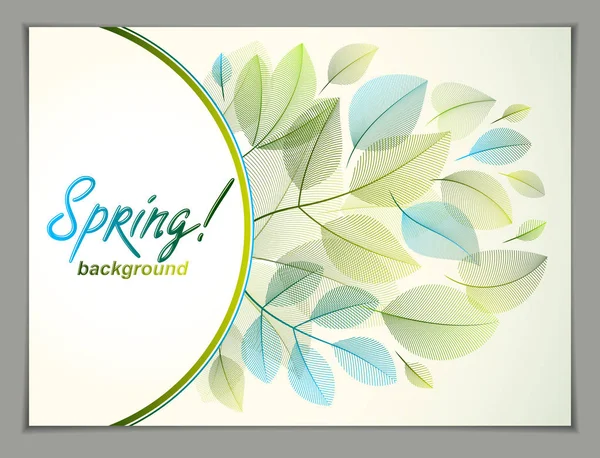 设计水平横幅与春季打字标志 绿叶和新鲜叶框构图背景 季节卡 促销优惠 文雅雅致的植物学绘图 — 图库矢量图片