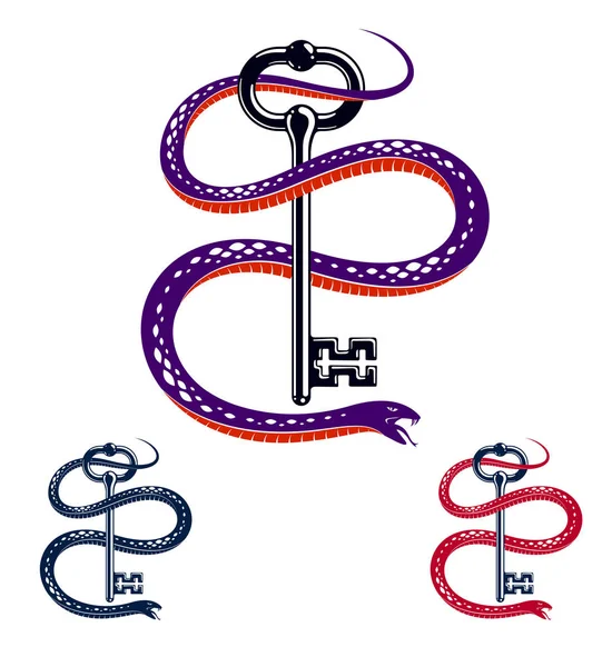 Змія обертається навколо вінтажного ключа, захищена таємна концепція, турнір — стоковий вектор