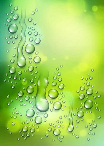 Gotas de lluvia de agua o condensación sobre naturaleza verde borrosa backg — Archivo Imágenes Vectoriales