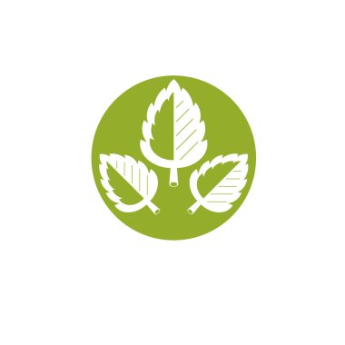 Vektör grafik illüstrasyon yeşil yaprak. Vegan kavramsal ab