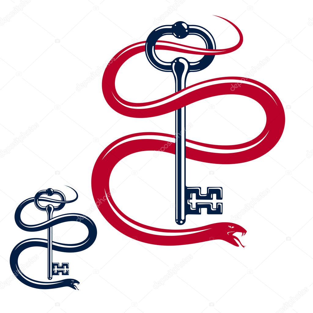 Snake wraps around vintage key, protected secret concept, turnkey and serpent old style tattoo, vector symbol logo or emblem.