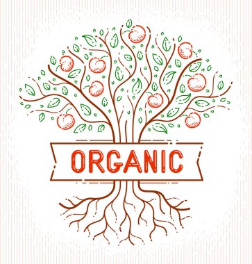 Güzel elma meyve ağacı doğal organik çiftlik gıda vektör logosu