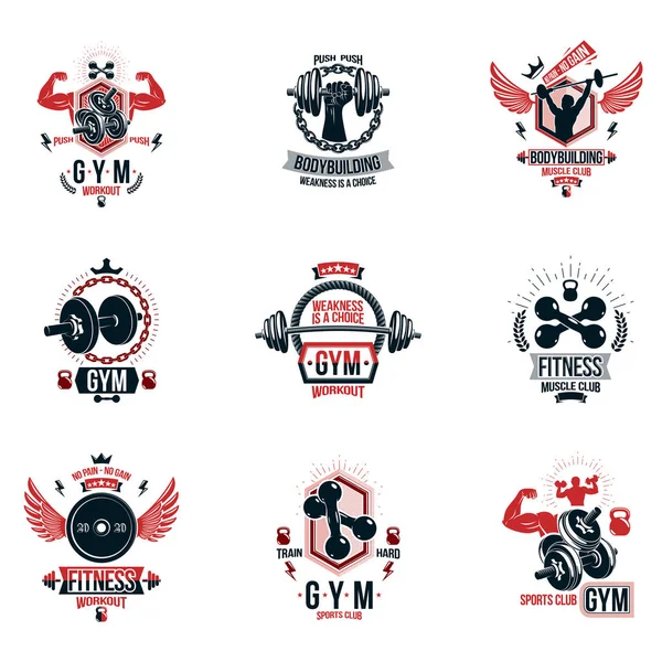 Conjunto Emblemas Temáticos Cross Fit Fitness Vectorial Carteles Motivacionales Creados — Vector de stock