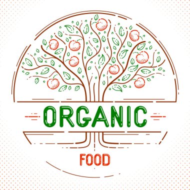 Güzel elma meyve ağacı doğal organik çiftlik gıda vektör logosu