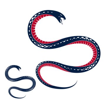 Zehirli yılan vintage dövme, vektör çizim agresif pred