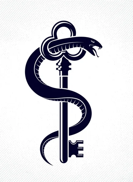Snake envolve a chave vintage, conceito secreto protegido, turnke —  Vetores de Stock