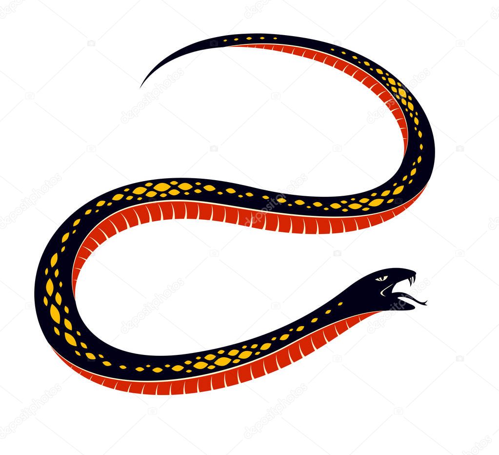 Snake vector tattoo, deadly poison dangerous serpent, venom aggressive predator reptile animal vintage style illustration.