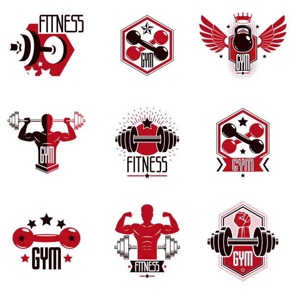 Sportschool gewichtheffen en fitness sport club logo's, retro gestileerde v — Stockvector