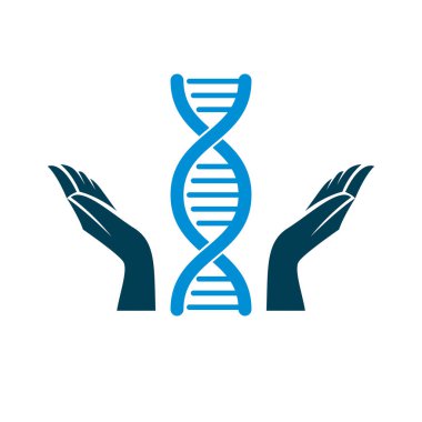İnsan DNA'sı bir model bakmakta ellerini tutun. Biyomühendislik di olarak