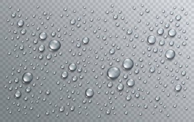 Water rain drops or condensation in shower realistic transparent clipart
