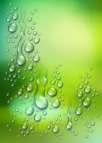 Gotas de lluvia de agua o condensación sobre naturaleza verde borrosa backg — Archivo Imágenes Vectoriales