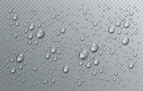 Gotas de lluvia de agua o condensación en ducha realista transparente — Archivo Imágenes Vectoriales