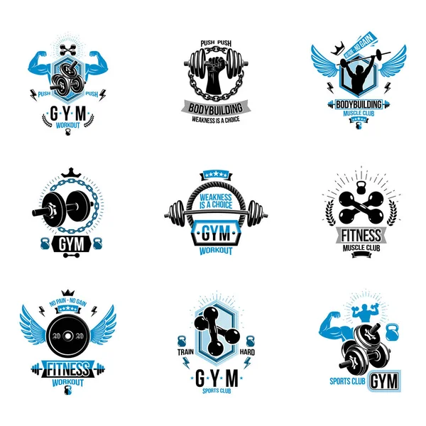 Logotipos de tema de treino de fitness vetorial e cartazes inspiradores col —  Vetores de Stock