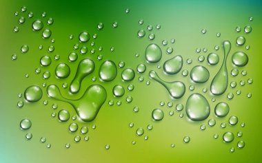 Water rain drops or condensation over blurred green nature background beyond the window, realistic transparent 3d vector illustration, easy to put over any background. clipart