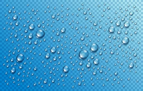 Wassertropfen Oder Kondenswasser Der Dusche Realistische Transparente Vektorzusammensetzung Über Transparentem — Stockvektor