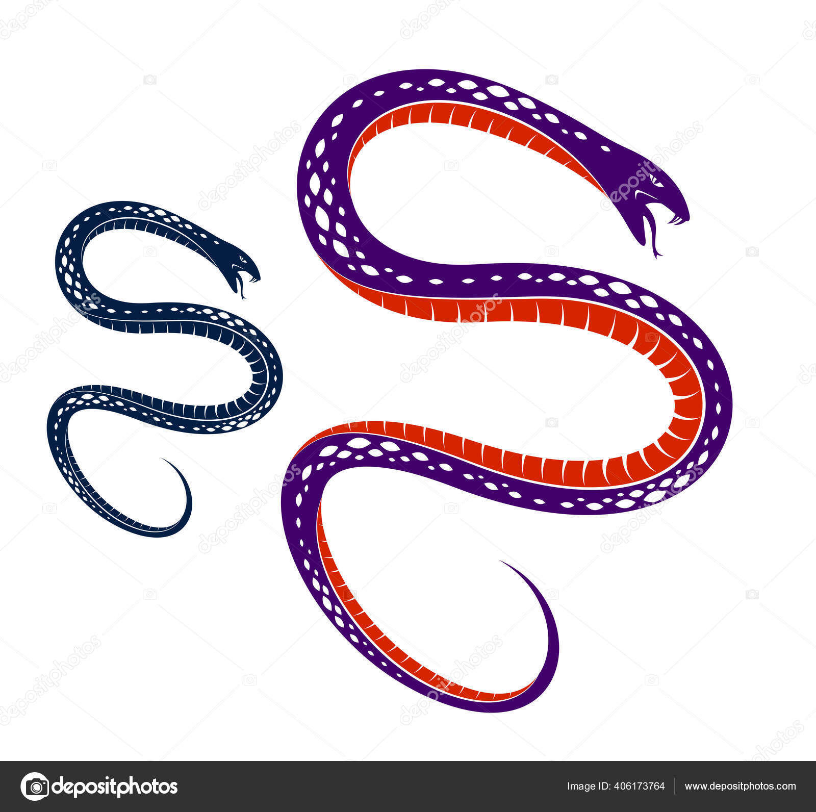 Tatuagem Vetor Serpente Veneno Mortal Serpente Perigosa Veneno Predador  Agressivo Vetor de ©Ostapius 406173764, image size:1600x1592