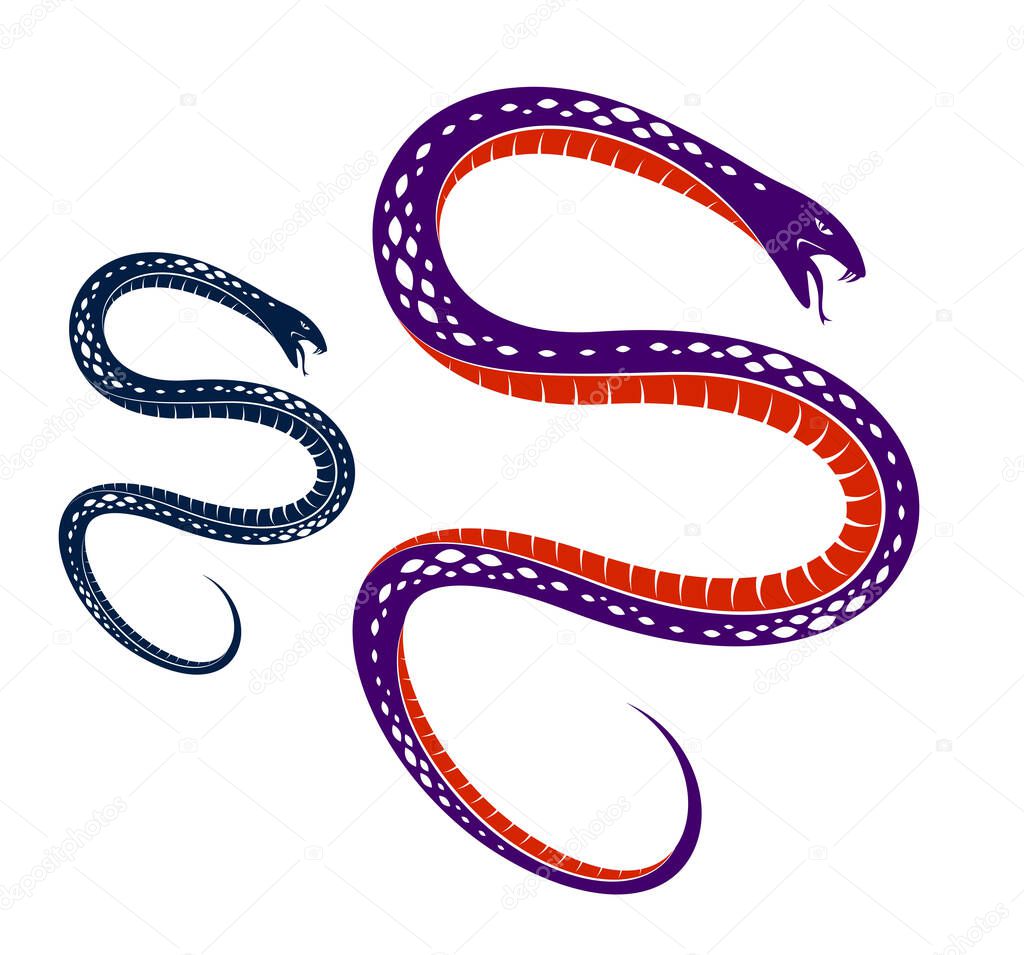 Snake vector tattoo, deadly poison dangerous serpent, venom aggressive predator reptile animal vintage style illustration.