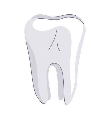 Beyaz sağlıklı diş izole vektör çizimi, minimum basit biçim çizimi.