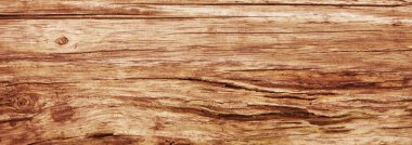 ağaç doku detay eski kabuğu 