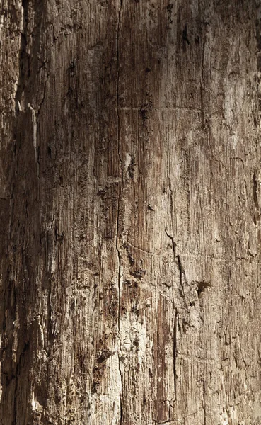Старый Богатый Фон Текстуры Дерева Узлами — стоковое фото