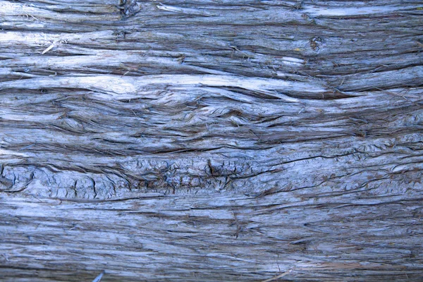 Старый Богатый Фон Текстуры Древесины Зерна Узлами — стоковое фото