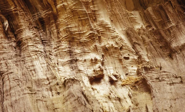 Oude Rijke Hout Textuur Achtergrond Met Knopen Houten Wand Voor — Stockfoto