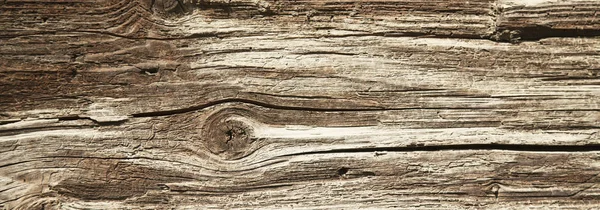 Vintage Wood Background Rich Wood Texture — Stock Photo, Image