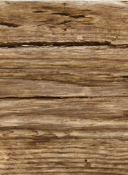 Vecchio Corteccia Dettaglio Struttura Dell Albero — Foto Stock
