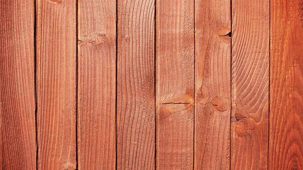 Vecchio Corteccia Dettaglio Struttura Dell Albero — Foto Stock