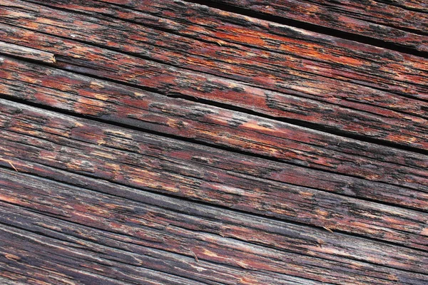 Oude Schors Textuur Detail — Stockfoto