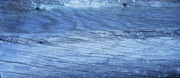 Casca Velha Detalhe Textura Madeira — Fotografia de Stock