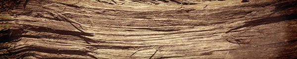 树皮纹理 自然木料背景 旧树皮的结构型式 — 图库照片