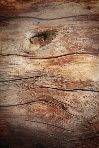 Starych Bogatych Broun Drewnopodobnych Tekstura Tło Węzłów — Zdjęcie stockowe
