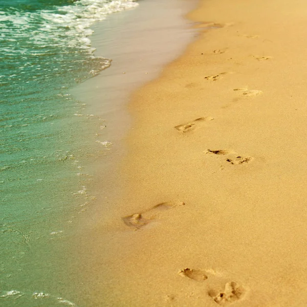 Fußabdrücke Sand Des Meeresstrandes Erholung Tourismus Reisen Urlaub — Stockfoto