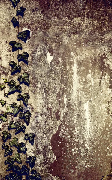 Régi Grunge Fal Textúra Minta Háttér Borított Zöld Borostyán Tervezés — Stock Fotó