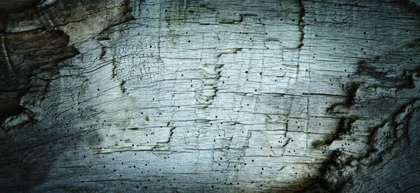 Старий Барвистий Багатий Текстури Дерева Фон Дизайну Візерунка Ілюстрації — стокове фото