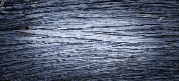 Old rich wood grain texture background