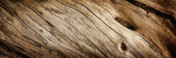 旧的丰富的木材纹理背景 — 图库照片