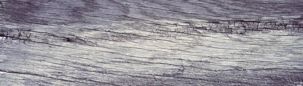 Oude Schors Houten Texture Detail — Stockfoto