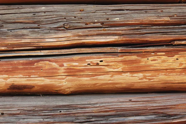 Corteza Vieja Del Detalle Textura Del Árbol — Foto de Stock